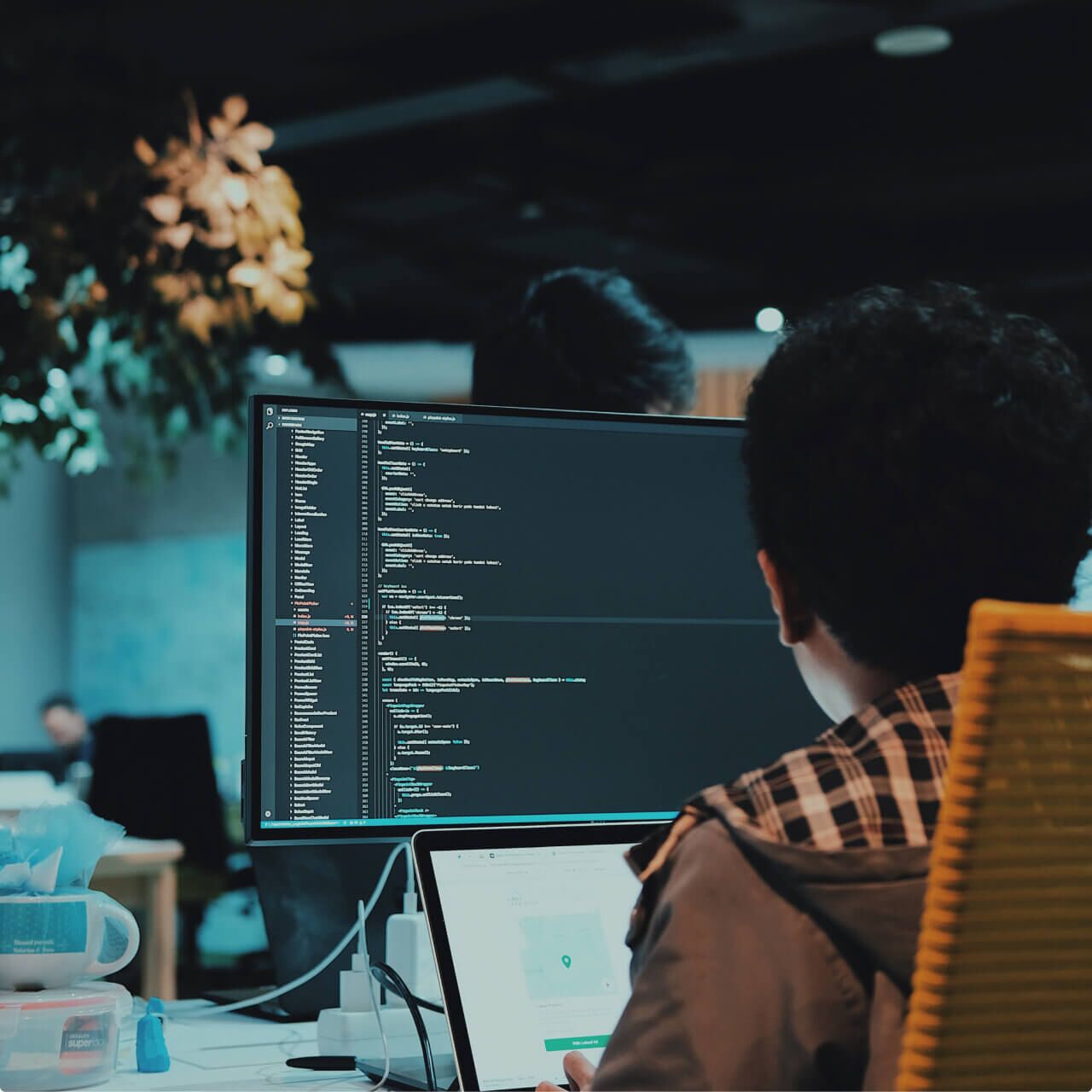 Software Asset Management